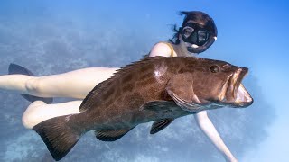 Key West Grouper Limits  Staying in State Waters [upl. by Aseeram591]