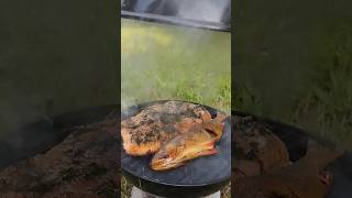 smoked salmon and perch food salmon grilling perch fish fishing [upl. by Idihsar941]