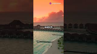 Top Places to Visit in the Maldives 🌴✨ maldivesislands travelguide maldives viralvideo shorts [upl. by Spancake242]