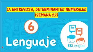 LA ENTREVISTA DETERMINANTES NUMERALES SEMANA 22 ESLEGUA SEXTO GRADO [upl. by Collins]