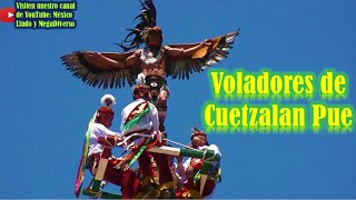 NO Son de Papantla éstos Voladores son de Cuetzalan Puebla 🐦 [upl. by Ennyl370]