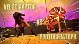 Velociraptor Vs Protoceratops  Stop Motion With Dinosaurs [upl. by Bitthia]