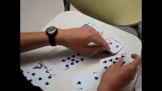 What is Canasta How Do You Play [upl. by Fira]