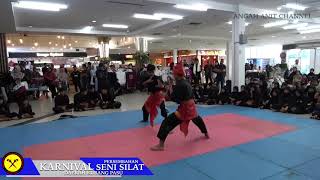 TEMPUR SILAT TANGAN KOSONG SILAT GAYONG PATANI TOKPA NEGERI KEDAH [upl. by Dorry]