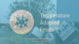 Upgraded fish feeds formula for colder seasons [upl. by Kamp959]