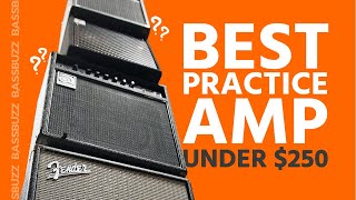 Best Beginner Bass Amp Group Review [upl. by Aloz383]