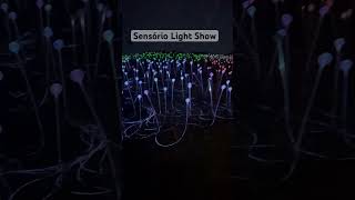 Sensorio Lightshow in Paso Robles California October 2024 [upl. by Erlewine700]