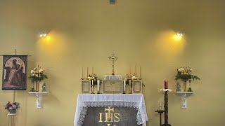 Traditional Latin Mass Perth WA is live St Peter Alcantara Confessor Saturday October 19th 2024 [upl. by Helfand]