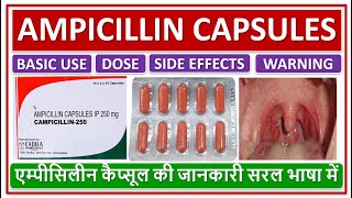 AMPICILLIN CAPSULES ANTIBIOTICS USE DOSE SIDE EFFECT एम्पीसिलीन कैप्सूल की जानकारी सरल भाषा में [upl. by Eugirne]