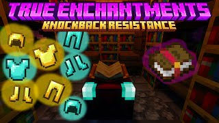 True Enchantments  quotKnockback resistancequot for Armor [upl. by Rizzi607]