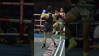 Newcomers Netherlands vs Thailand muaythai [upl. by Till]