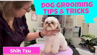 Shih Tzu Grooming Bathing and Trimming Easy Maintenance haircut with a puppy look Cute for dogs [upl. by O'Malley981]