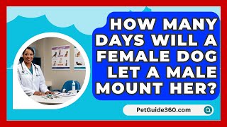 How Many Days Will A Female Dog Let A Male Mount Her  PetGuide360com [upl. by Iaverne]