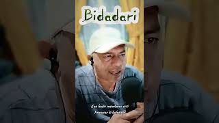 BIDADARILela Cover [upl. by Nyhagen]