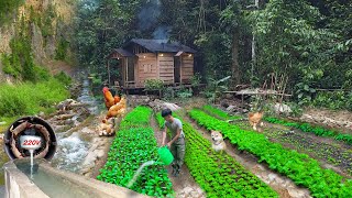 Build houses fish ponds gardens hydroelectric alone build life last for hundreds years in forest [upl. by Naliorf]