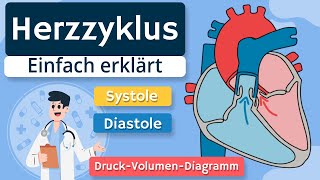 Herzzyklus  Systole Diastole und DruckVolumenDiagramm einfach erklärt [upl. by Ennaus]