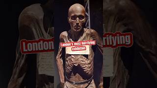 Londons most horrifying exhibition [upl. by Keifer]