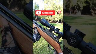 Evanix AR6K Hunting Master 22 plinking airguns pcp [upl. by Secundas956]