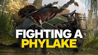 Assassins Creed Origins  Fighting A Phylake in 4K [upl. by Hotchkiss]