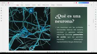 Tejido nervioso Neuronas [upl. by Adnamas516]