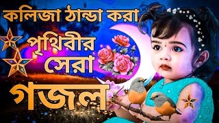 কলিজা ঠান্ডা করা সুরে পৃথিবীর সেরা গজল। New 2023 Bangla Gojol  SelimShikhon 2025 [upl. by Iegres655]