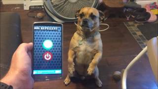 Dog Repellent App For Android Review Does It Work Watch and see [upl. by Blackman]