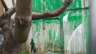 Banksy Tree Mural Defaced Days After Popping Up in London [upl. by Norbert208]