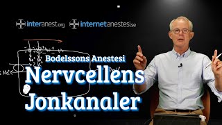 Bodelssons Anestesi del 2 Nervcellens jonkanaler [upl. by Clarabelle]