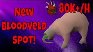 New Bloodveld Slayer Spot  80kh Slayer xp  Bloodveld Slayer Guide 2020 [upl. by Rooney623]