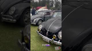 VOCHO  VOLKSWAGEN 1960 [upl. by Renrag438]