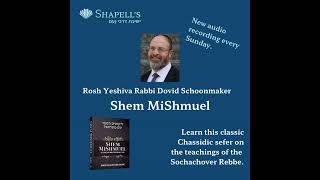 Rabbi Schoonmaker  Shem MiShmuel 15 Lekh Lekha  Torah VeKorbanos [upl. by Pretrice991]