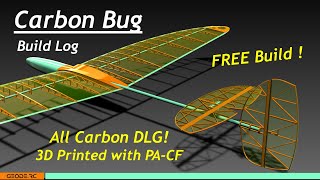 quotCarbon Bugquot Build Log  All Carbon 3D Printed DLG [upl. by Aihsoem]