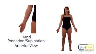 Hand Pronation Supination [upl. by Tran]