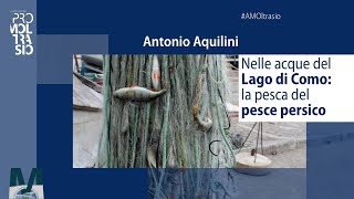 Antonio Aquilini quotNelle acque del Lago di Como la pesca del pesce persicoquot  AMOltrasio [upl. by Laine]