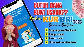 Cara Mengajukan Pinjaman KUR BRI 2023 Secara Online‼️ Tanpa Jaminan amp Tanpa Harus Datang Ke Bank [upl. by Bria]