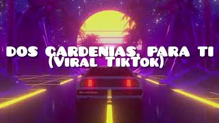 DOS GARDENIAS PARA TI Viral TikTok DJ remix chris entino miusic [upl. by Ojok]