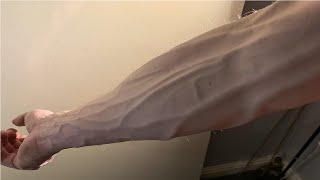 intense veiny arm workout for instant veins [upl. by Alhsa]