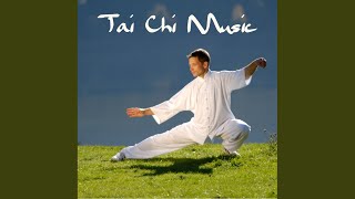 Tai Chi [upl. by Bounds412]