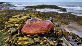 Rockhounding Port Lorne Nova scotias Bay of Fundy [upl. by Haveman]