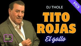 TITO ROJAS EL GALLO MIX SALSA EROTICA DJ THOLE [upl. by Lelith]