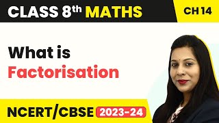 What is Factorisation  Class 8 Maths [upl. by Gorrono]