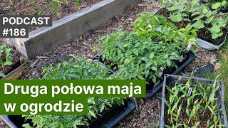 186 Druga połowa maja w ogrodzie Podcast [upl. by Eanel48]