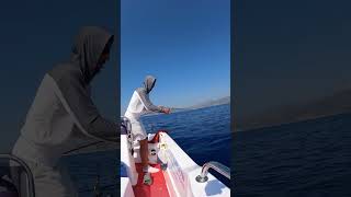 jigging style fishing shimanofishing fyp [upl. by Aitrop288]