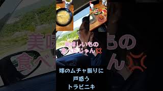 仲良し夫婦 トラビエッソ 夫婦 ドライブ 旅行 道の駅 カップル 新潟 [upl. by Tsai]