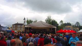 Declan Nerney  Stop the World Tubbercurry Old Fair Day 2013 [upl. by Nimzzaj]