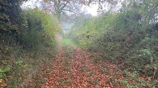 Pentridge hill trail run [upl. by Solracesoj438]