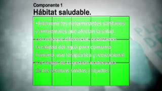 Plan Decenal de Salud Pública Dimensión1 Salud Ambiental [upl. by Delanos]