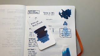 Diamine BlueBlack Fountain Pen Ink Review [upl. by French]