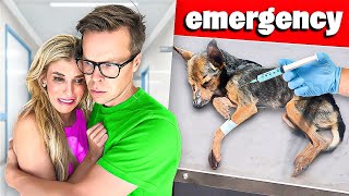 We Rushed Our Dog to the Emergency Room [upl. by Marguerite]