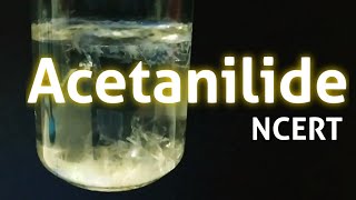 Acetanilide Nphenylacetamide Preparation NCERT guide [upl. by Gaughan535]